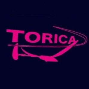 鳥コン滑空機の電装の開発